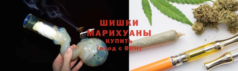 купить закладку  нарко площадка какой сайт  Конопля White Widow  Гдов 